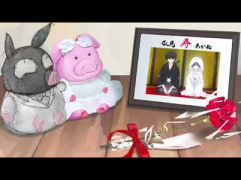  Ranma Akane the wedding la boda YouTube