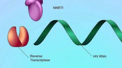 Mechanisms of Action of Non-Nucleoside Reverse Transcriptase Inhibitors (NNRTIs)