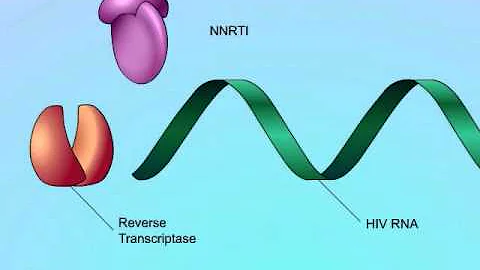 Mechanisms of Action of Non-Nucleoside Reverse Transcriptase Inhibitors (NNRTIs)