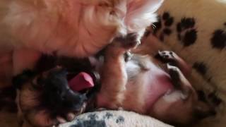 27 01 17 Baby Joy With Nurse Flash A