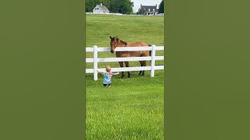 Cute Kiddo Summons Horse Herd!