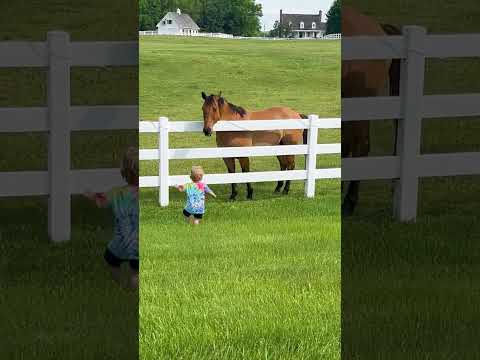 Cute Kiddo Summons Horse Herd!