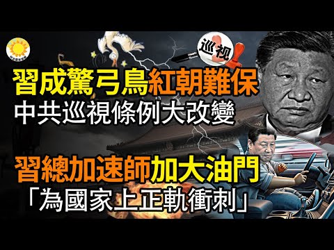 🔥习成惊弓之鸟 红朝眼看保不住了 中共巡视条例大变；许成钢爆震撼弹：若中国现苏联解体情形 影响不亚于当年；习总为“使国家走上正轨” 加大油门往前冲；“白纸运动”纪录片导演遭以寻衅滋事罪送办【阿波罗网】