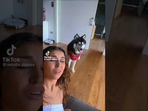 El tiktok de