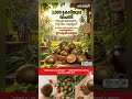 💰 പഞ്ചസാരയേക്കാൾ 250 മടങ്ങ് മധുരം! കർഷകർക്ക് പുതിയ കോടികളുടെ വിളയായി മോങ്ക് ഫ്രൂട്ട്