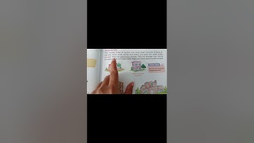 (Ncert) CBSE class 2 Evs chapter 6 We need Shelter | Read with me | @learningwithtm4