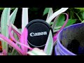 Canon EOS 60D 18-55mm video test