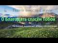 О БЛАГОДАТЬ СПАСЁН ТОБОЙ... / Милость Божия / семья Ларионовых