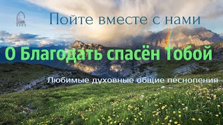 Video thumbnail of "О БЛАГОДАТЬ СПАСЁН ТОБОЙ... / Милость Божия / семья Ларионовых"