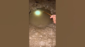 Cắm Câu Cá Thòi Lòi #shorts #fishing