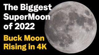 The Biggest SuperMoon of 2022  The Buck Moon in 4K