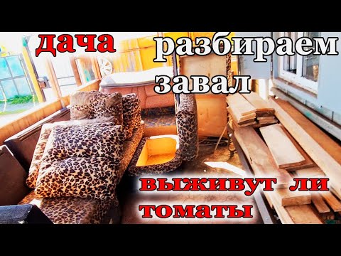 Видео: Дача.Разгребаем Веранду.Посадила Томаты.Наводим чистоту.Пашем. Холод не отступает.Май 2024