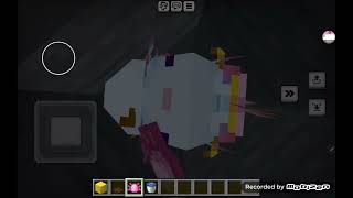 Minecraft Axolotl Spawn Egg Eggs