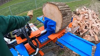 Box Wedge Splitting 22" Red Oak Rounds