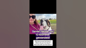 Wat ben je aan het doen? Ik ben aan het … #nederlands #dutch #hond #polacywholandii  #niderlandzki