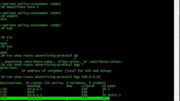 JUNOS-JNCIE-BGP-PATHSELECTION-1-Next-Hop-Resolution
