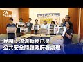 公共安全問題：流浪動物