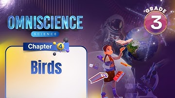 Birds | Science Class 3 | Chapter 4 | IP Study