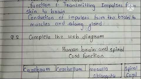 setu Abhyaskram bridge course 10th class science 2 day 8