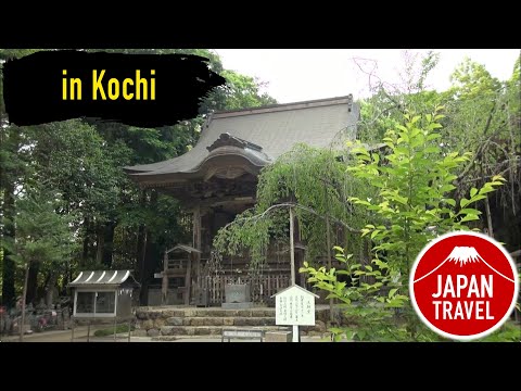 Japan Travel  Kochi-KOKUBUNJI-