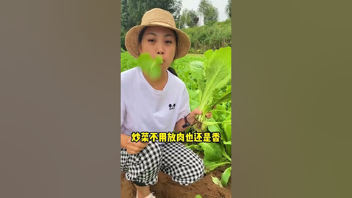 375 大秧农场 爽脆鲜嫩的青梗小白菜十几天采收 #蔬菜种植  #农业种植  #家庭小菜园  @快手创作者中心O3xrgtux2ehryffe - 天天要闻