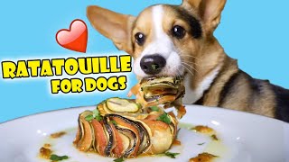 CORGI Tries Homemade Ratatouille (Will He Like It?) || Life After College: Ep. 661