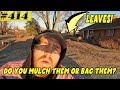 Do you MULCH or BAG your leaves?  Truck Talk: Our BIGGEST YEAR YET!