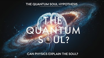 The Quantum Soul Hypothesis: Can Physics Explain Consciousness?