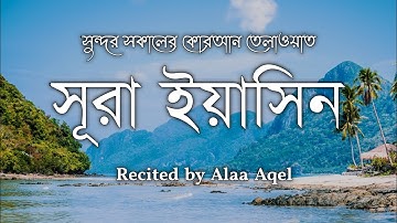 সূরা ইয়াসিন অত্যন্ত দরদী কন্ঠে  তিলাওয়াত। سوره يس l Surah Yasin | Holy Book Quran