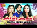 Zindagi Nu Rog Laya E | Tajammal Mansoor Malangi | ( Official Video ) | Shaheen Studio