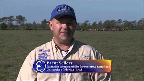 Proper Control of Weeds with Dow AgroSciences