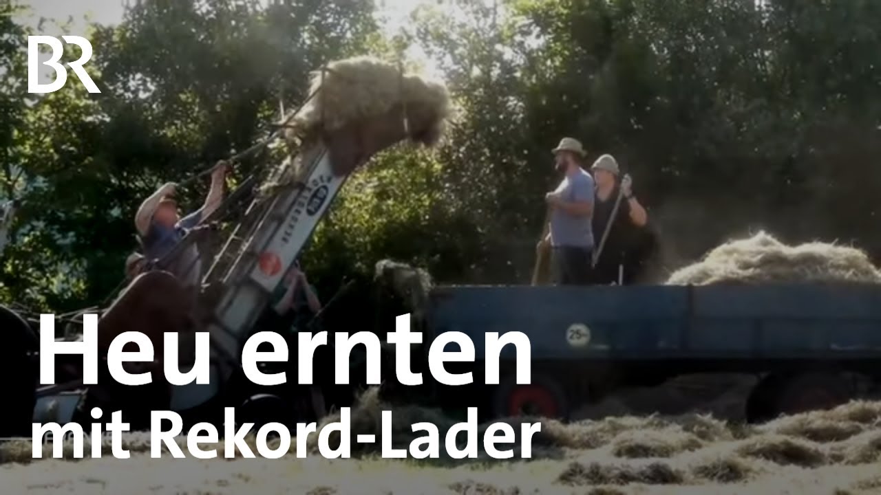 Zeitreise auf dem Acker: Ernten mit dem 