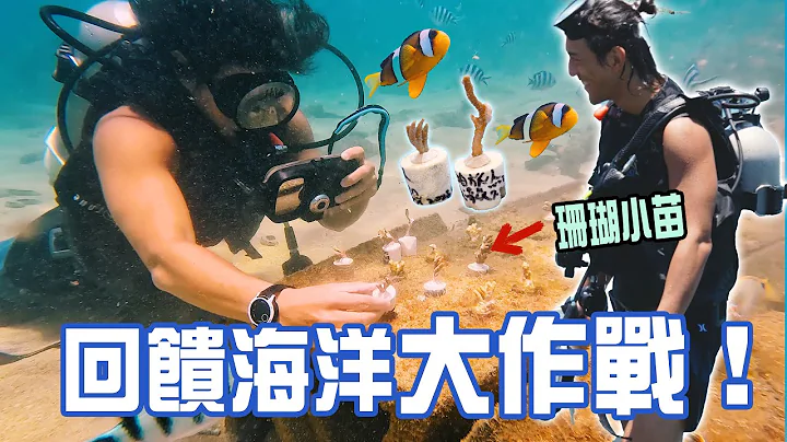【回饋海洋大作戰】 來到澎湖完成心願，潛入水底種下珊瑚！ |  Samsung Galaxy S23 Ultra - 天天要聞