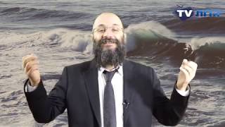 הדות טיוי  - TV - טבעי לדעת -תגובות 4 - תשובה אחת פרשת בשלח - הרב שי עמר