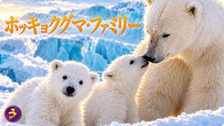 【🎬無料公開中】動物ドキュメンタリー『ホッキョクグマ・ファミリー』｜3週間探し続けた先に…北極圏で出会った親子との奇跡の再会