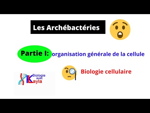 Vidéo: Où vivent les archéobactéries ?