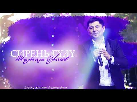 Шергазы Оролов Сирень гүлү 2024 