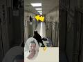 نجاه شخص من ادبب في إحدئ المباني حيوانات عبارات اكسبلور Funny Shorts Shorts Feed نجاه شخص من ادبب في إحدئ المباني حيوانات عبارات اكسبلور Funny Shorts Shorts Feed