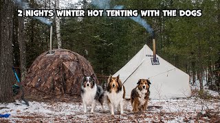 2 Nights Winter Hot Tenting With The Dogs