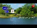 فتى الشرقيه هب الهوى فتى الشرقيه هب الهوى