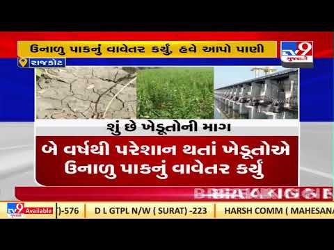 Dhoraji farmers to face huge trouble over not getting water for irrigation in summer season |TV9News