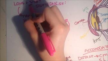 GCSE B1 (Part 3) OCR Gateway Revision (aka *FUN SCIENCE*)