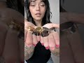 Solid Stainless Steel Plugs