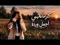 كرمانجي أجمل وردة النسخة العربية للأغنية الكردية المشهورة ترند 2026 