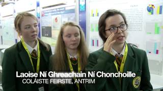 Effect of bilingualism on cognitive process in 15 year old pupils of Irish education