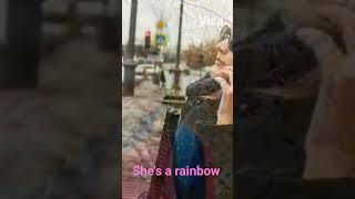 She&#39;s a rainbow - Vica birthday #музыка #рок