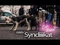 Little Syndikat 20.03.2016 BMW Treffen - Aftermovie - CarPorn