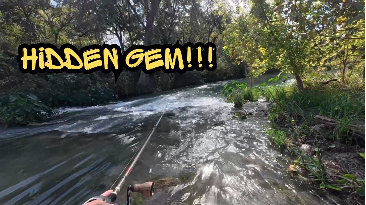 We fished a secret river with SWIMBAITS.