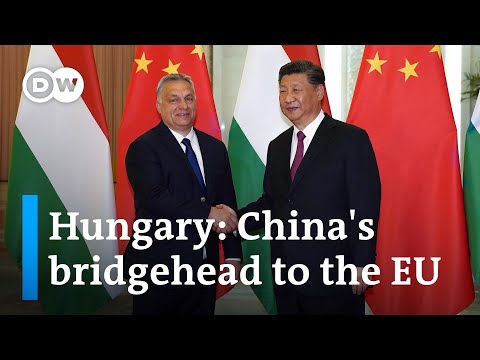 Why Hungary is so important for China | DW News