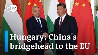 Why Hungary is so important for China | DW News by DW News 28,120 views 15 hours ago 6 minutes, 11 seconds